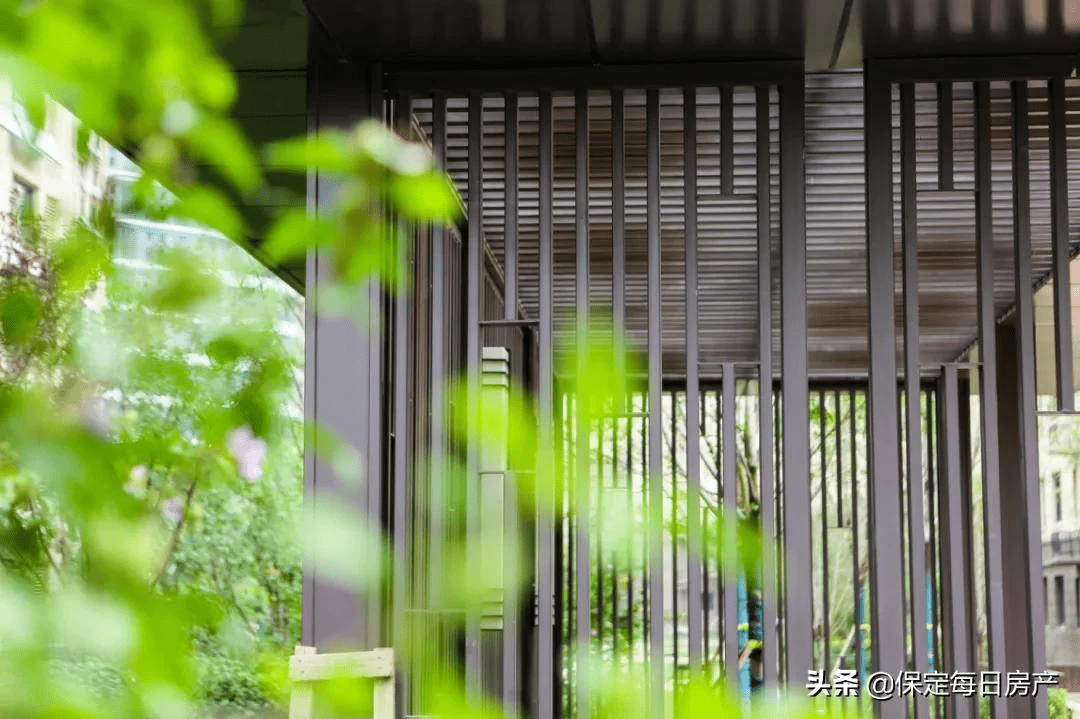 溯源和美 共鉴臻心 |隆基泰和媒体精英品鉴之旅圆满落幕